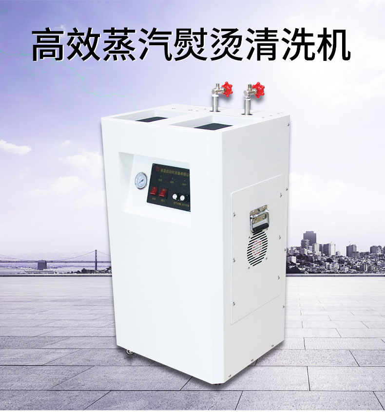 高温高压蒸汽清洗机 工业家用熨烫去污清洗机