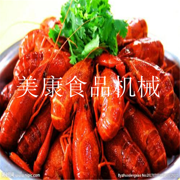 СϺϴĳ ֭ʼӹ豸 ֱϺϴˮ