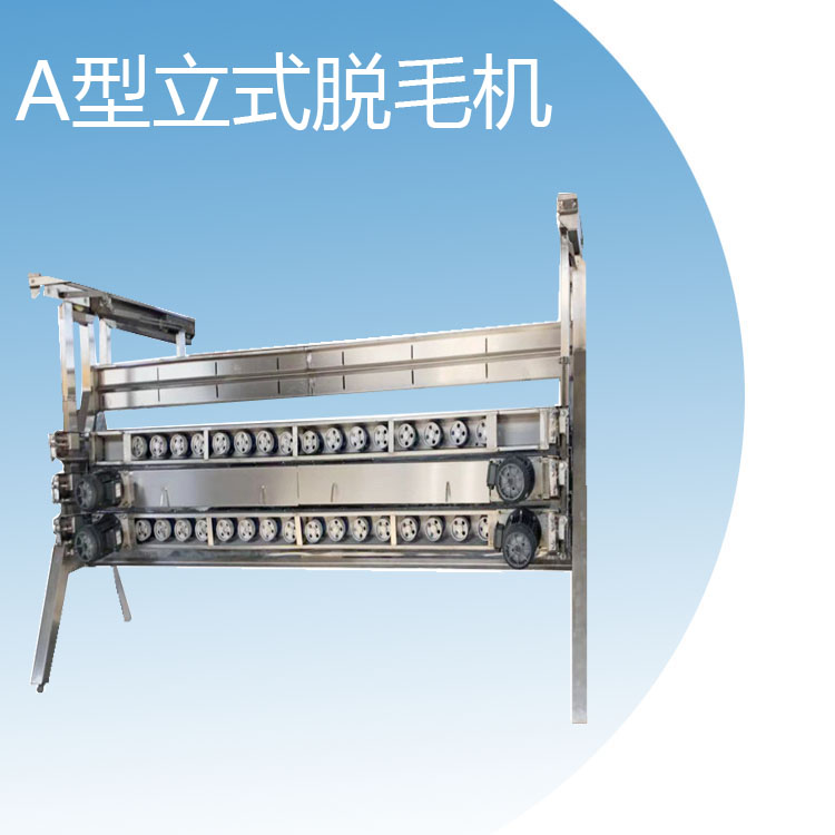 a型立式脱毛机 a字型立式脱毛机厂雷威商贸直销 家禽脱毛设备 家禽脱